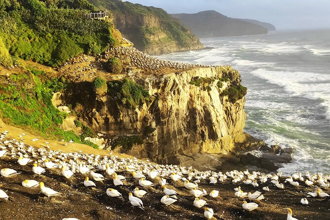 12 Day New Zealand Private Tour from Auckland to Queenstown - Key points at a glance