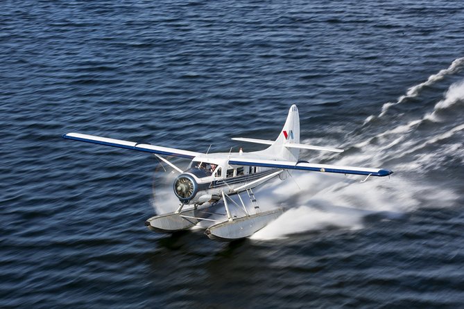 15-Minute Crater Lakes Flight by Floatplane from Rotorua - Mokoia Island and the first stretch over Lake Rotorua