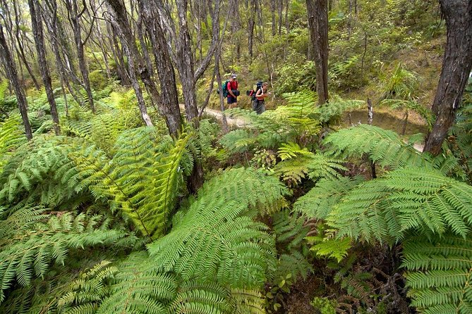 2 Day Freedom Kayak - Kayak Rental - New Zealand - Weather, cancellation, and practical planning