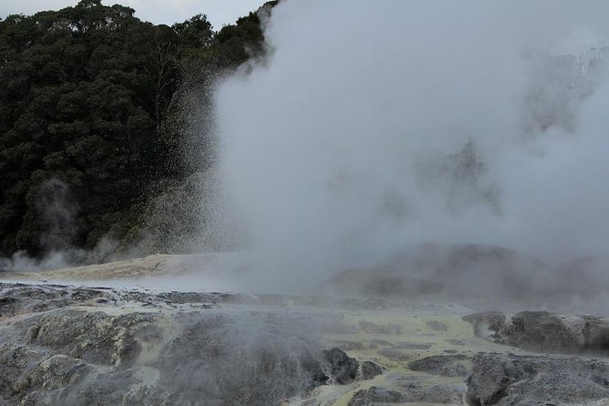 2-Day Hobbiton, Rotorua, Waitomo Caves Tour from Auckland with Accommodation - Waitomo’s glowworms make a quiet final stop