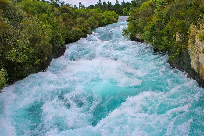 2 Day Tour Auckland to Hobbiton, Waitomo, Rotorua and Taupo - Tirau and the road to Rotorua