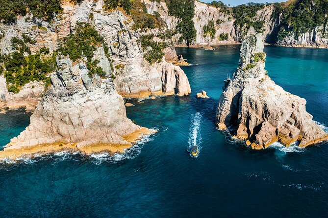 2 Hour Cathedral Cove and Volcanic Coast Cruise with Shade Canopy - The guides make the difference