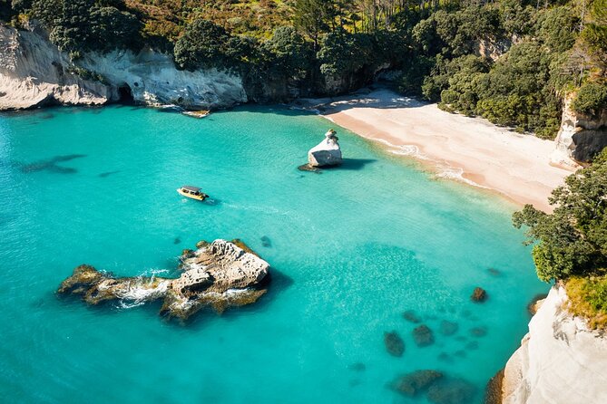 2 Hour Cathedral Cove and Volcanic Coast Cruise with Shade Canopy - Who should book this cruise?