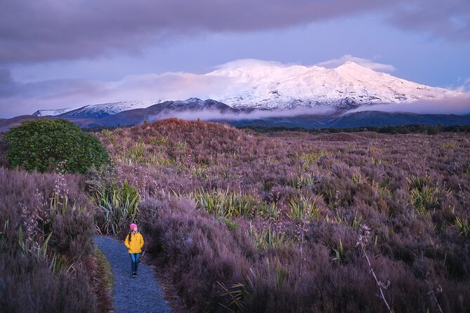 2 Hour Pre Sunset Guided Group Walk - Golden-hour views toward Ngauruhoe and Tongariro