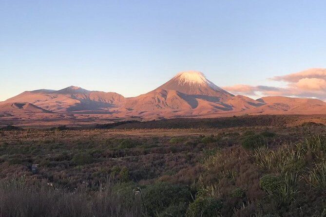 2 Hour Pre Sunset Guided Group Walk - Is NZD 123.65 good value?
