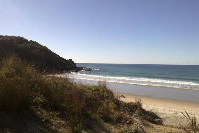 2 Hour Surf Lesson - Te Arai Beach - What the Two-Hour Lesson Covers