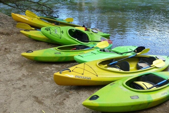2-Hour Waikato River Guided Kayak Trip from Taupo - What the guides add