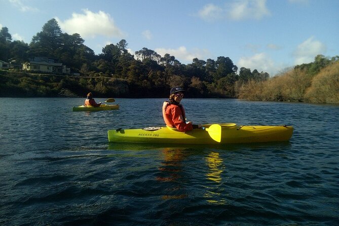 2-Hour Waikato River Guided Kayak Trip from Taupo - Who should book this river trip?