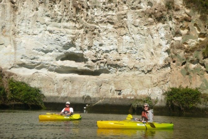 2-Hour Waikato River Guided Kayak Trip from Taupo - Practical tips for a smoother outing