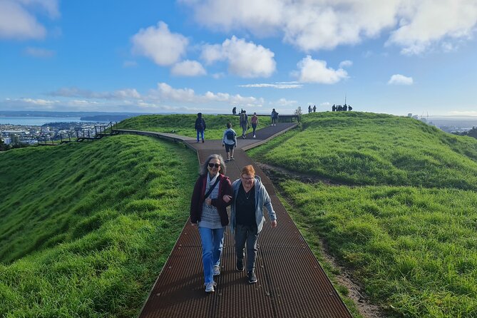 2025 Award Winning: Auckland City Highlights Half Day Tour - A smart first look at Auckland in half a day