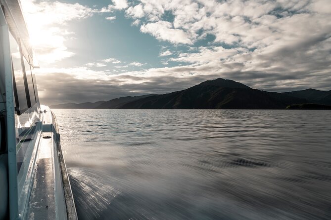3.5 Hour Marlborough Sounds Delivery Cruise - What this Marlborough Sounds cruise really is