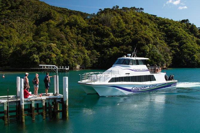3.5 Hour Marlborough Sounds Delivery Cruise - Queen Charlotte Track and remote stops