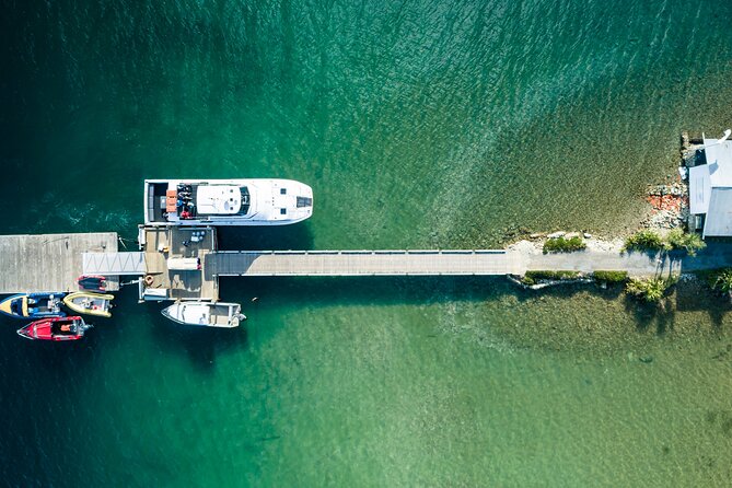 3.5 Hour Marlborough Sounds Delivery Cruise - Wildlife watching from a working boat