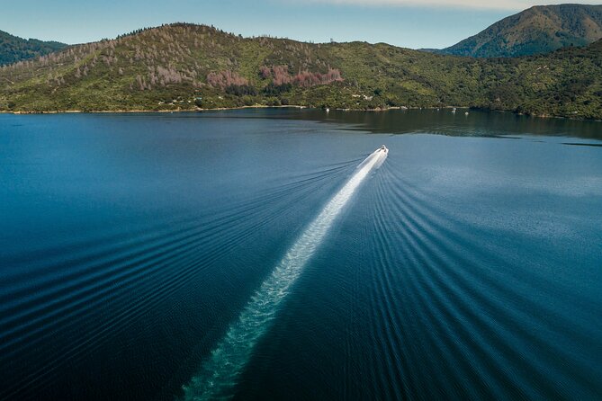 3.5 Hour Marlborough Sounds Delivery Cruise - How much commentary should you expect?