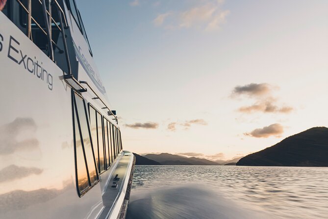 3.5 Hour Marlborough Sounds Delivery Cruise - Comfort, boat size, and weather