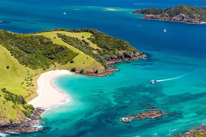3-Day Bay of Islands Tour from Auckland - Day 3: Waitangi Treaty Grounds and the return to Auckland