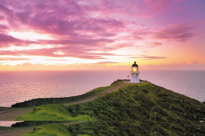 3 Day Bay Of Islands Tour from Auckland including Waitangi and Cape Reinga - From Auckland to Paihia by public InterCity bus