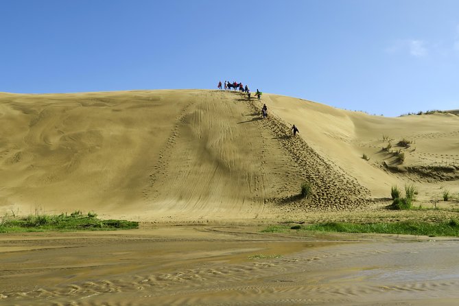 3 Day Bay Of Islands Tour from Auckland including Waitangi and Cape Reinga - Who will get the most from this tour
