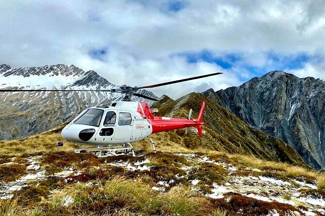 30-Minute Alpine Scenic Flight from Queenstown - From Queenstown to the Wakatipu Basin