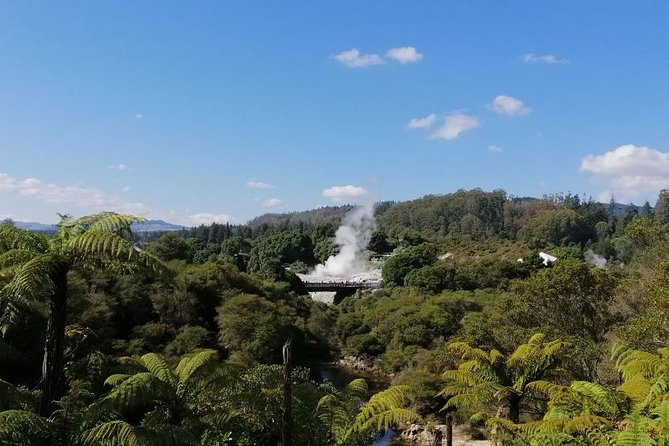 4-Day Auckland to Wellington via Rotorua Tour - Waitomo Glowworm Caves begins the North Island journey