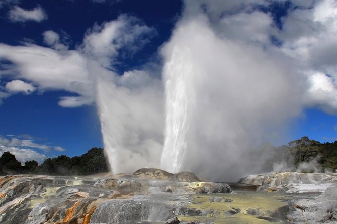 4-Day Auckland to Wellington via Rotorua Tour - Independent touring means changing coaches and guides