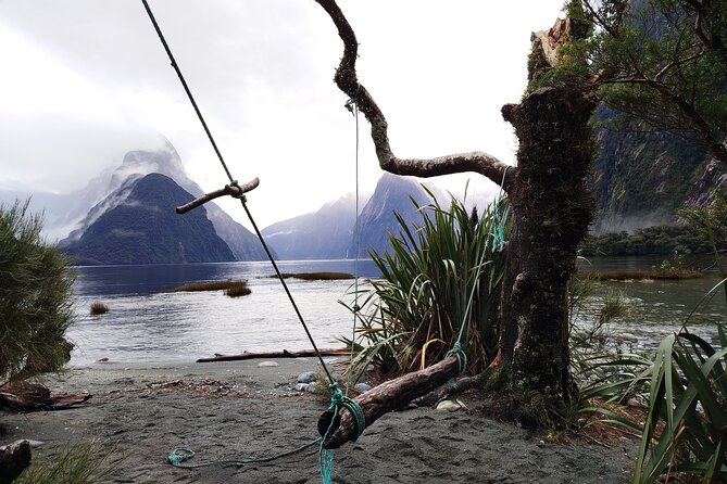 4 Day Tour to Milford Sound, Mount Cook & More from Auckland - Day four: Lake Tekapo to Christchurch by road and rail