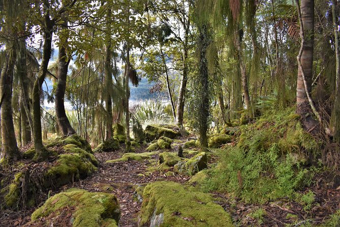 4-hour Lake Mapourika Kayak and Hike adventure, with Okarito Kiwi Sanctuary - The guides are a major part of the experience