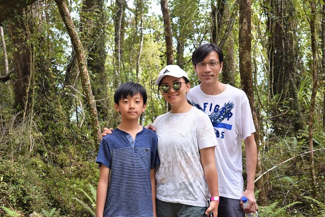 4-hour Lake Mapourika Kayak and Hike adventure, with Okarito Kiwi Sanctuary - Weather, comfort, and the one real caution