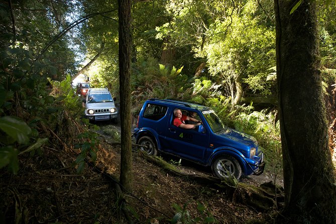 4WD Bush Safari at Off Road NZ - Key points to know before you go