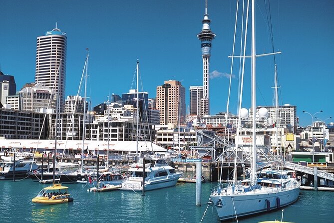 5-Day Bay of Islands, Auckland, Hobbiton, Rotorua & Waitomo Tour - Day 5: Rotorua free time and the road to Hobbiton