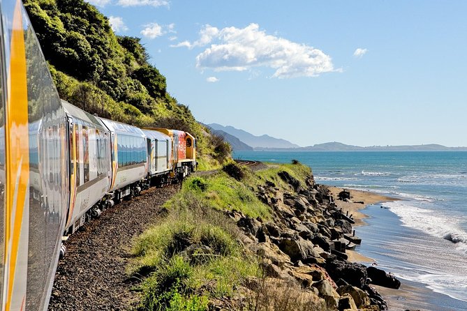 5-Day New Zealand North and South Island Highlights Tour - Who should book this, and who should skip it
