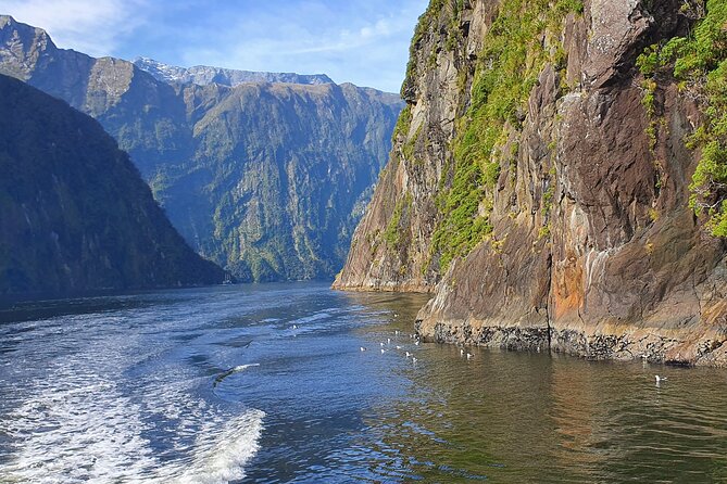 5 Day South Island New Zealand Private Tour from Queenstown - Five details that shape the trip