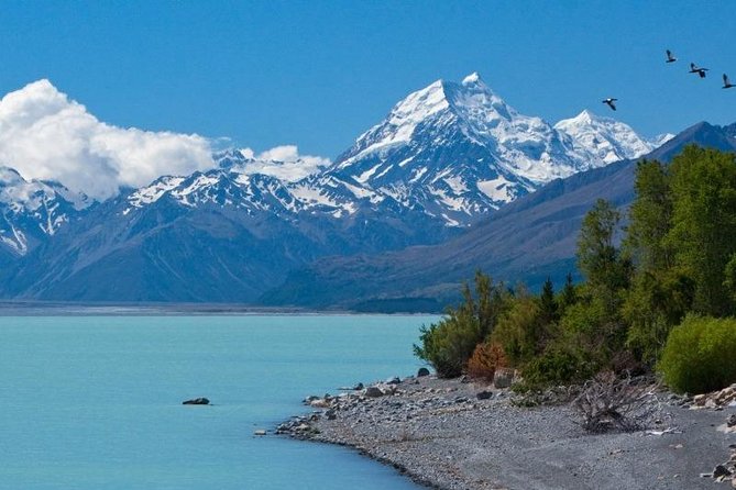 5-Day South Island Tour from Christchurch - What the $1,300.10 price buys you
