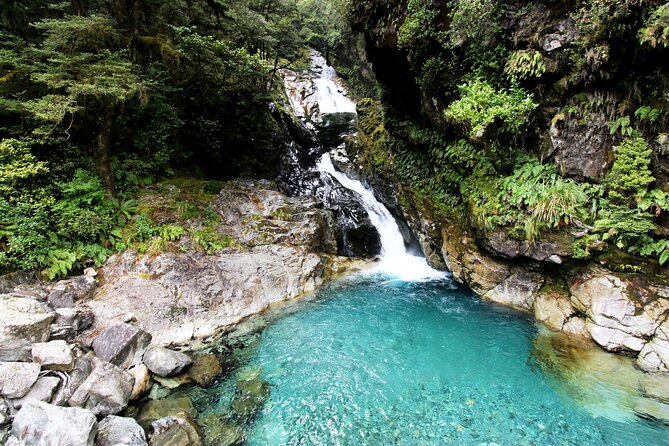 5 Day South Island Tour from Queenstown including Stewart Island - Day 3: Stewart Island and Paterson Inlet