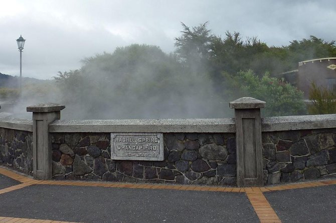 6.5 hour Small-Group Rotorua Naturally Shore Excursion - Tauranga - What this Tauranga to Rotorua tour is really designed to do