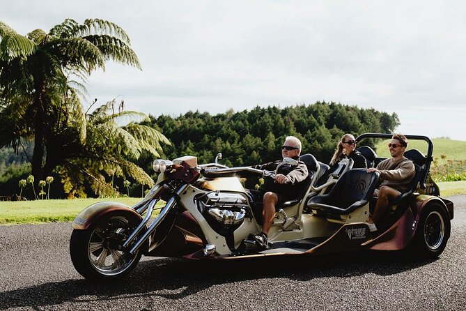 6.5 hour Small-Group Rotorua Naturally Shore Excursion - Tauranga - The Redwoods Treewalk and glow worm cave