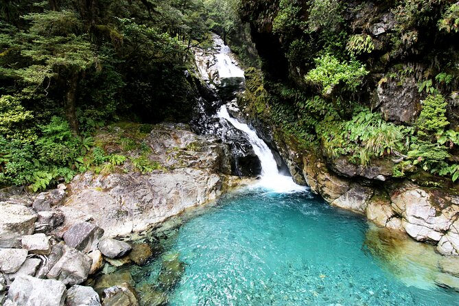 6 Day South Island New Zealand Private Tour from Christchurch - Day 6: Glowworms and your final Queenstown choice