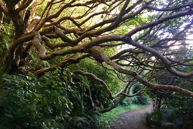 6 Hours Sightseeing Tour in Auckland - The best parts of the day