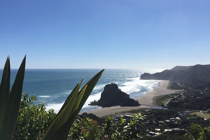 6 Hours Sightseeing Tour in Auckland - Why this route works so well from Auckland