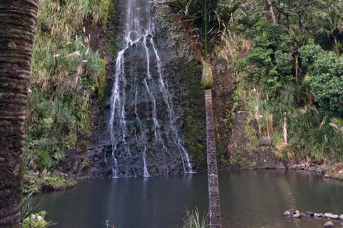 6 Hours Sightseeing Tour in Auckland - Karekare Falls adds a short rainforest walk