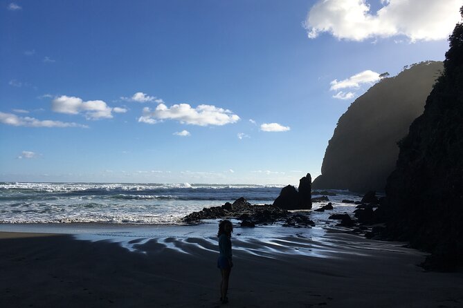 6 Hours Sightseeing Tour in Auckland - Wine tasting closes the route on a relaxed note