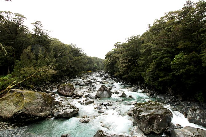 9 Day South to North Island NZ Private Tour from Queenstown - A flexible Christchurch morning and the flight north