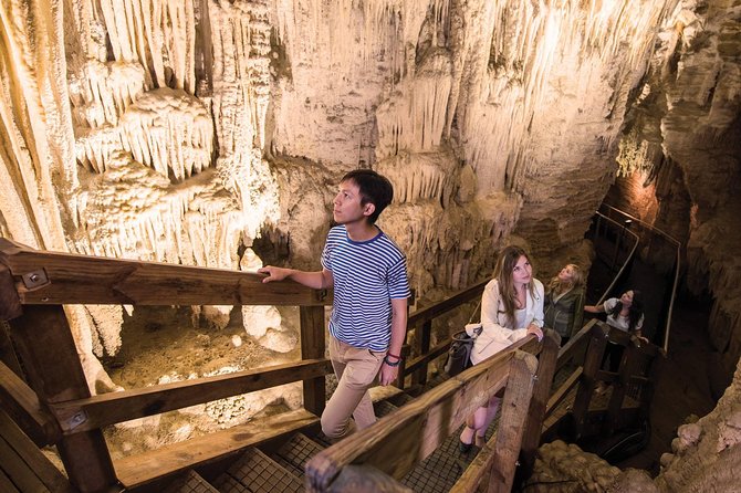 90-Minute Guided Ruakuri Cave Tour Waitomo - Why Ruakuri Cave is worth your time