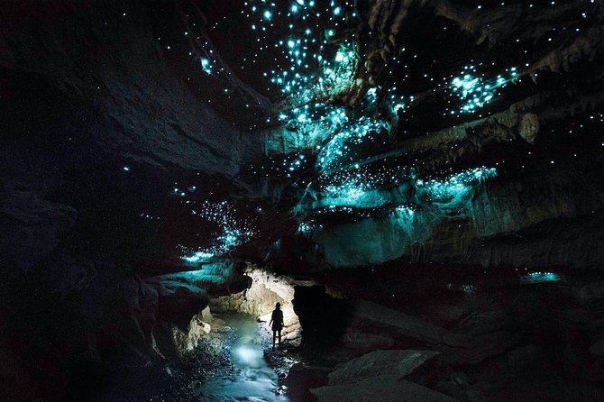 90-Minute Guided Ruakuri Cave Tour Waitomo - Is $71.99 good value?