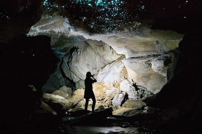 90-Minute Guided Ruakuri Cave Tour Waitomo - Who will enjoy this tour most