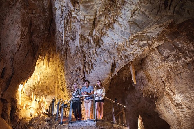 90-Minute Guided Ruakuri Cave Tour Waitomo - What you see inside the cave