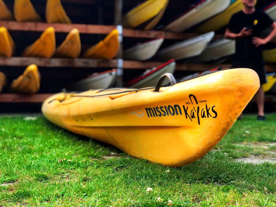 Abel Tasman Kayaks: 1 Day Freedom Kayak Rental - Why this day on the water works so well