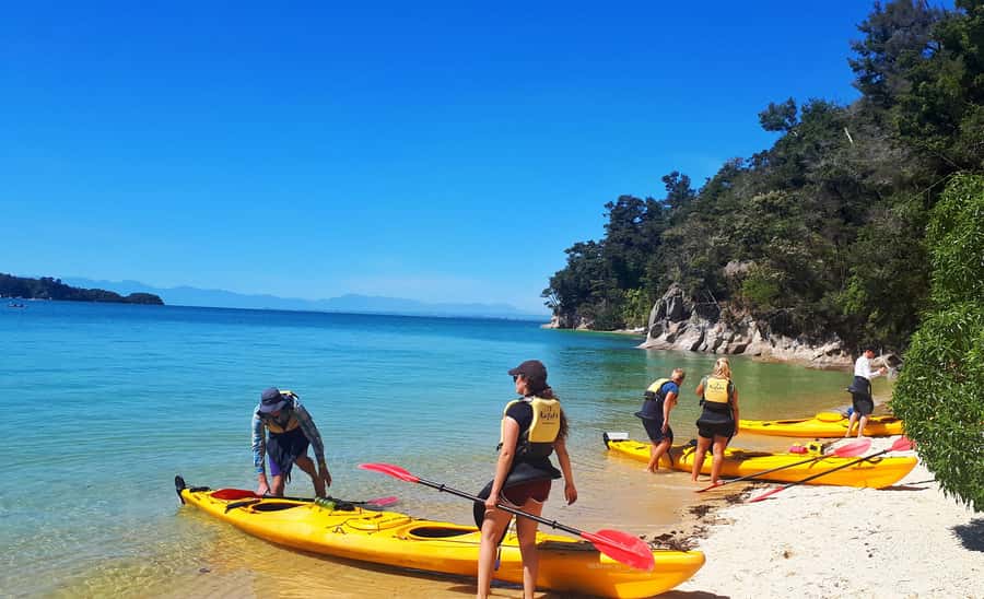 Abel Tasman Kayaks: 1 Day Freedom Kayak Rental - The return journey is part of the plan