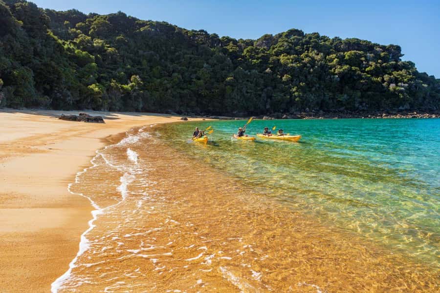 Abel Tasman National Park: Cruise, Kayak, & Hike Tour - Is $417 a fair price?