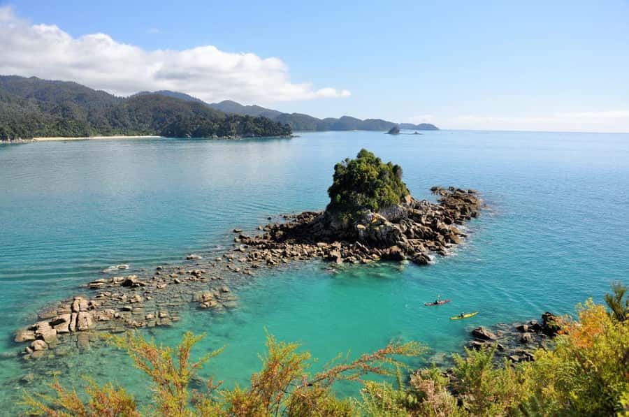 Abel Tasman National Park: Cruise, Kayak, & Hike Tour - Who should book this Abel Tasman tour?
